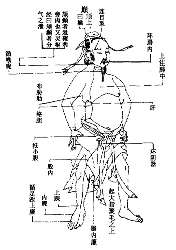活人书厥阴经.gif