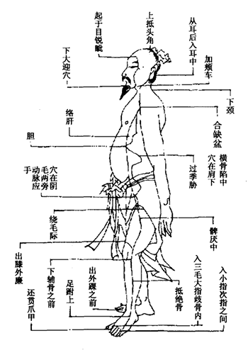 活人书少阳经.gif