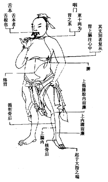 活人书太阴经.gif