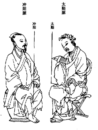 活人书冲阳太溪脉.gif